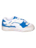 adidas Sneakers "180" wit/blauw