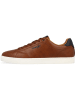 Wrangler Sneakers "Bennet" bruin