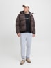 Jack & Jones Sweatshirt in Schwarz