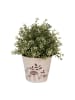 Clayre & Eef Blumentopf in Beige/ Braun - (H)11 x Ø 12 cm