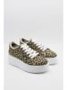 Bellucci Sneakers in Hellbraun