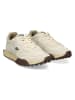 Lacoste Sneakers in Creme/ Beige