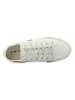 Lacoste Sneakers in Creme