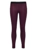 Black Diamond Legginsy termiczne "Coefficient LT" w kolorze jagodowym