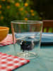 Onlylux Glas "Pet Friends" zwart - (H)9,3 cm