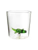 Onlylux Glas "Savana Family" groen - (H)9,3 cm