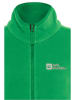 Jack Wolfskin Kurtka polarowa "Taunus" w kolorze zielonym