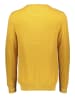 Gant Pullover in Gelb