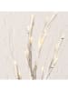 Boltze Leddecoboom "Jura" wit - (H)53 cm