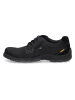 Camel Active Leder-Schnürschuhe in Schwarz