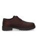 Camel Active Leren veterschoenen bruin