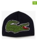 Lacoste 2tlg. Set: Mütze & Schal in Schwarz