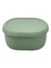 Fackelmann Lunchbox groen - 600 ml