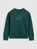 4F Bluza w kolorze zielonym