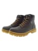 U.S. Polo Assn. Boots in Braun