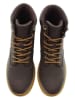 U.S. Polo Assn. Boots in Braun