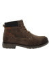 U.S. Polo Assn. Boots bruin