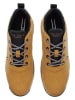 U.S. Polo Assn. Sneakers lichtbruin