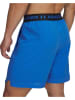 Under Armour Trainingsshorts ''Vanish'' in Blau