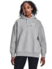 Under Armour Hoodie "Icon" lichtgrijs