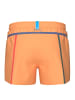 Arena Badeshorts in Orange
