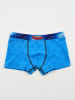 Spiderman 2-delige set: boxershorts "Spiderman" blauw