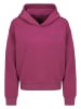 Sublevel Hoodie in Beere