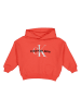 Calvin Klein Hoodie in Orange