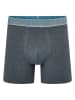 DKNY 3er-Set: Boxershorts in Schwarz/ Grau