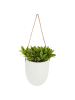 WellHome Kunstplant groen/wit - (B)18 x (H)20,5 x (D)13 cm