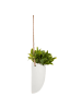 WellHome Kunstplant groen/wit - (B)18 x (H)20,5 x (D)13 cm
