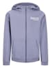 Retour Sweatjacke "Asher" in Hellblau