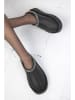 trendyol Ankle-Boots in Anthrazit