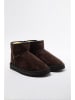 trendyol Ankle-Boots in Braun