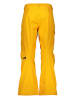 The North Face Ski-/ Snowboardhose "Freedom" in Gelb