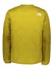 The North Face Steppjacke "Ampato" in Grün