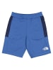 The North Face Funktionsshorts in Blau