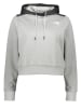 The North Face Hoodie "Reaxion" lichtgrijs