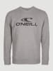 O'Neill Sweatshirt "Horizon" grijs