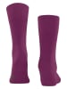 Falke Sokken "Tiago" paars