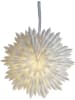 STAR Trading Papieren ster "Ice" wit - Ø 50 cm