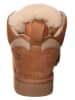 UGG Sneakers lichtbruin