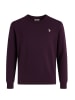 U.S. Polo Assn. Sweter w kolorze fioletowym