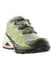 SALOMON Trailrunningschoenen "Speedcross Peak" grijs/groen