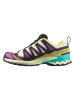 SALOMON Laufschuhe "XA Pro 3D V9 GTX" in Bunt