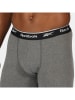 Reebok Lange Unterhose "Johny" in Grau