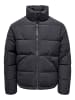 ONLY & SONS Winterjacke "Pack Life" in Schwarz