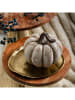 Homla Dekoracja "Pumpkin" w kolorze szarym - wys. 14 cm