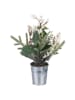 Villa d´Este 12-delige set: kunstplanten "White Xmas" groen/wit - (H)16 x Ø 6 cm