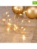 Hollybell 2er-Set: LED-Lichterketten in Warmweiß - (L)250 cm